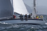 storm free gbr1991t whyw25 750_5692